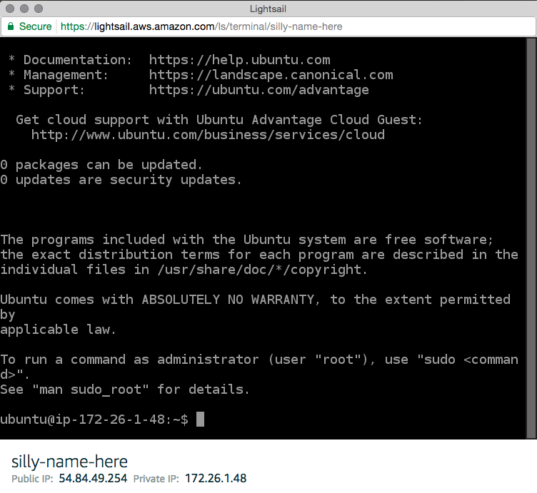 An SSH window logged into the server instance. From here, it's just like any other Linux server.
