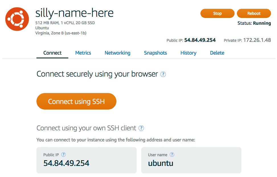 The main page for my silly-name-here instance. The big orange "Connect using SSH" button is the next step.