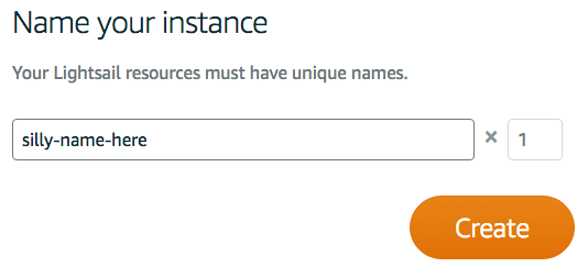 I've named my instance silly-name-here.